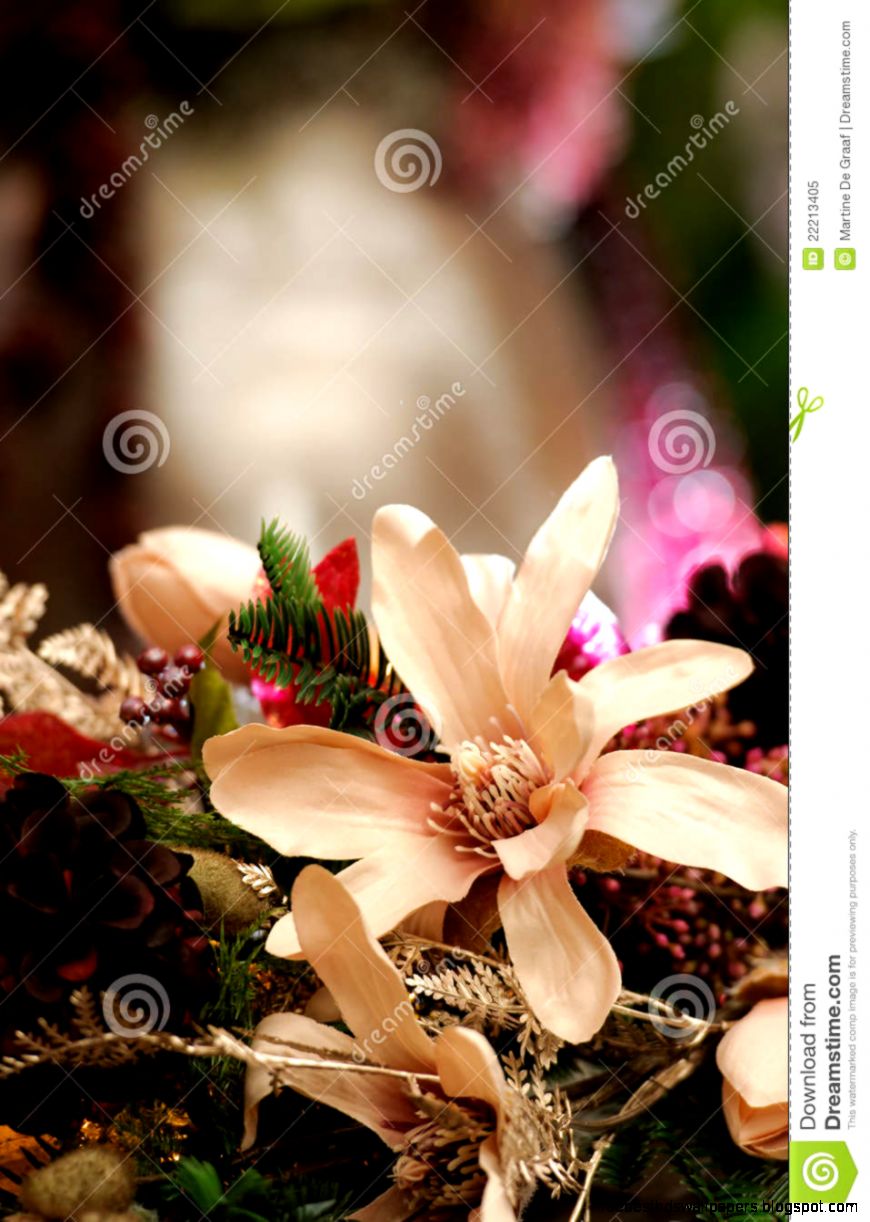 Christmas Flower Arrangement Royalty Free Stock Photo Image Christmas Flower Arrangement Royalty Free Stock Photo Image