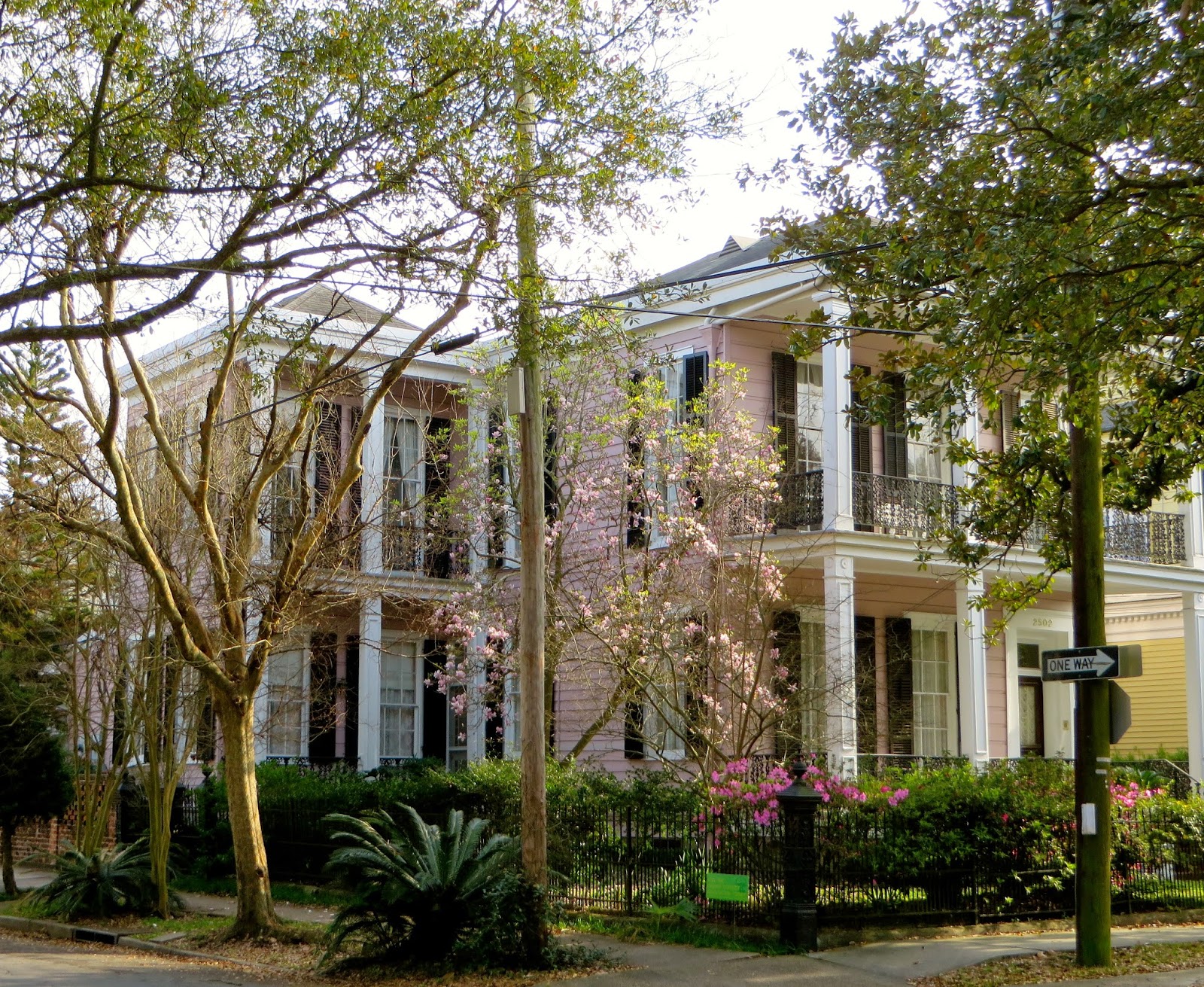 a curious gardener New Orleans Garden District and Uptown