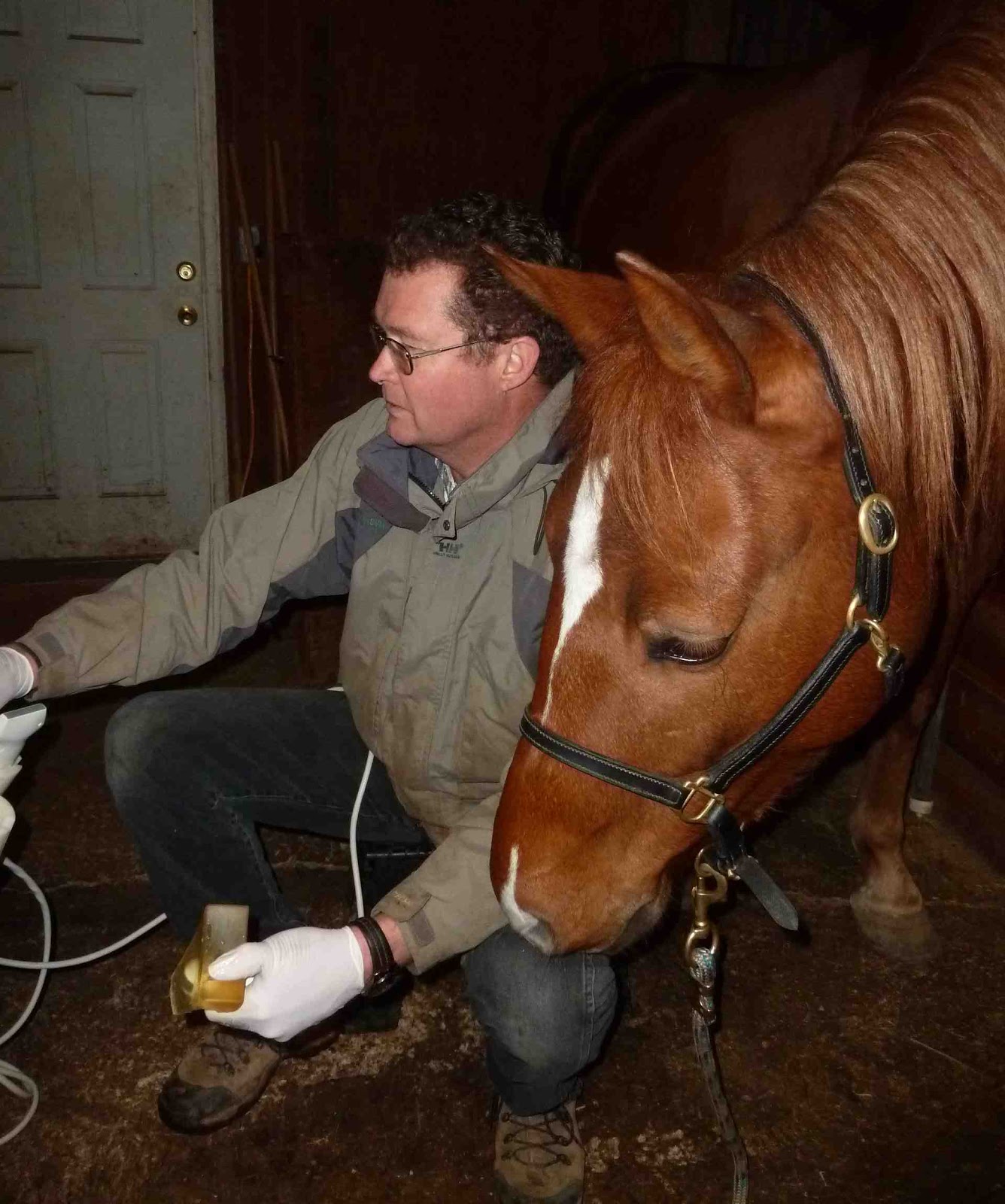 Boulderneigh Horsecrazy girl