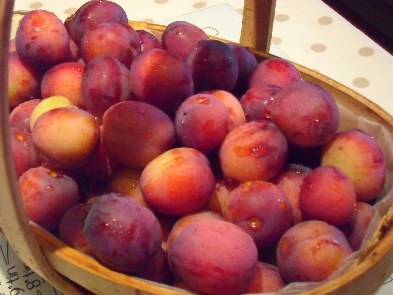 Durleighmarsh Farm Shop News PickYourOwn Plums Ready Now!