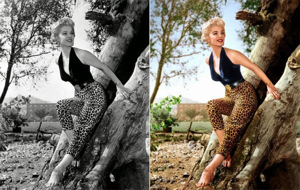 Advanced Colorization Techniques Advanced Colorization Techniques