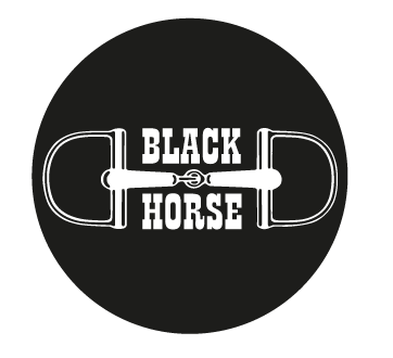 Erilainen hevosblogi