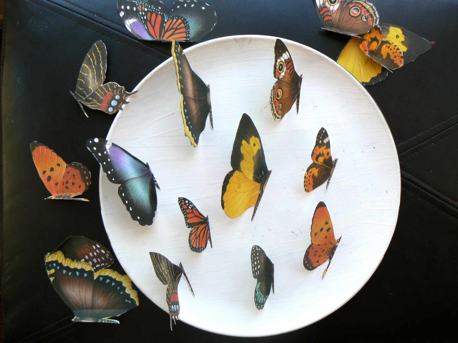 Having Fun at Home Butterfly Symmetry Matching Game