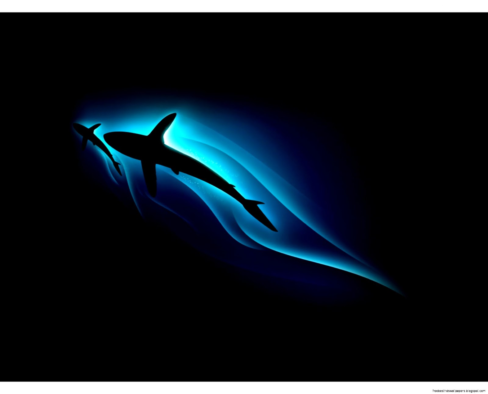 Cool 3D Wallpaper Shark Cool 3D Wallpaper Shark