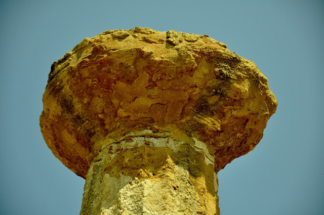 _DSC0864.JPG