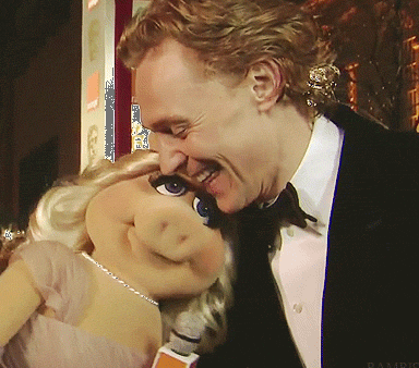 hiddleston+piggy.gif