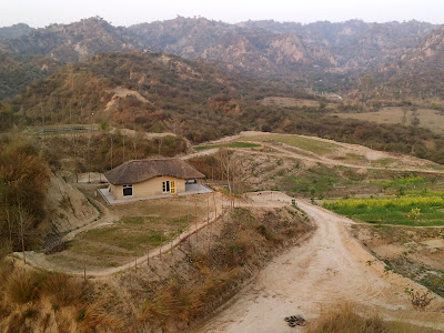 Prakriti farm, Punjab, India