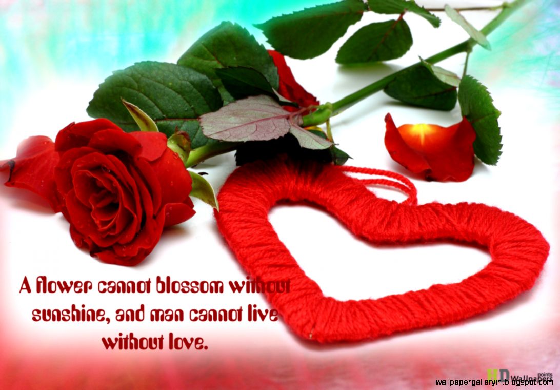 Love Rose Heart Best HD Wallpaper 13509 Wallpaper computer best Love Rose Heart Best HD Wallpaper 13509 Wallpaper computer best