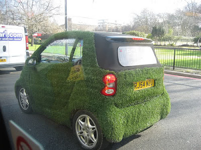 Car Covered with Grass