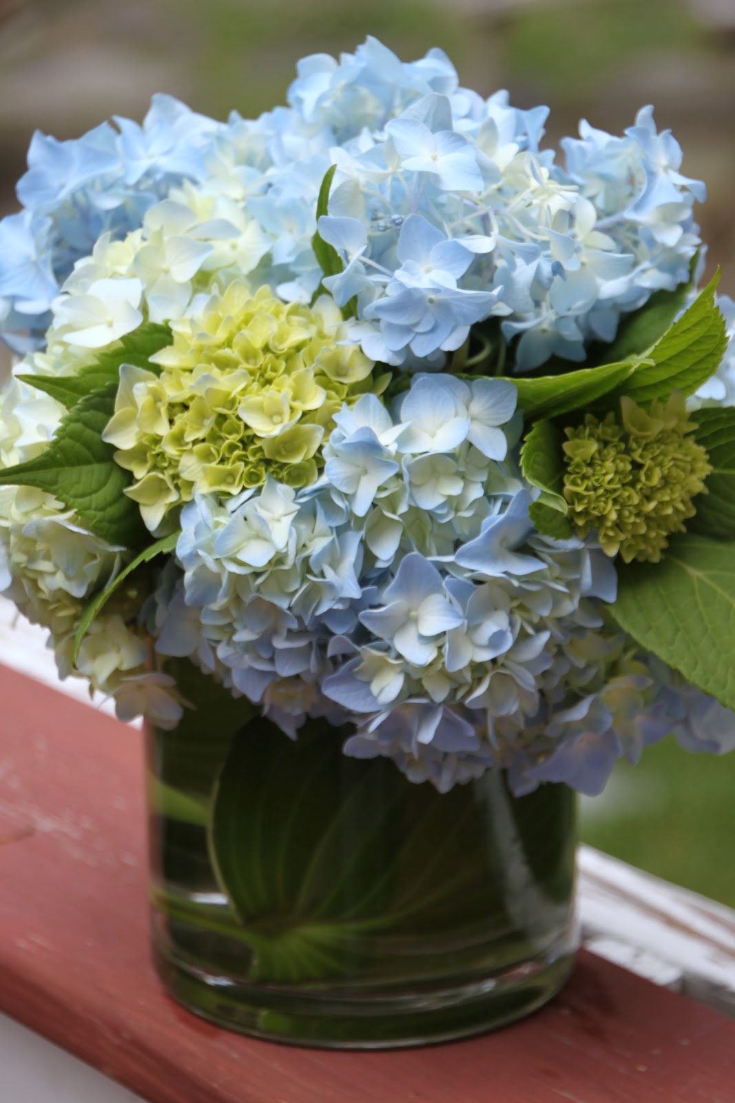 Tilly's Nest Easy Hydrangea Arrangement