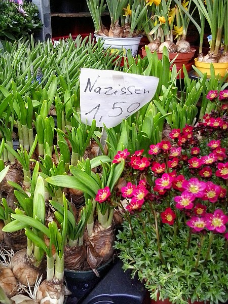 Kirche Des Fliegenden Spaghettimonsters Deutschland Gemeinde