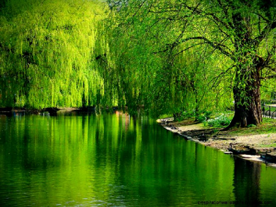 43 Beautiful Lake Wallpapers HD 228 Nature Lakes Hd Wallpapers 43 Beautiful Lake Wallpapers HD 228 Nature Lakes Hd Wallpapers