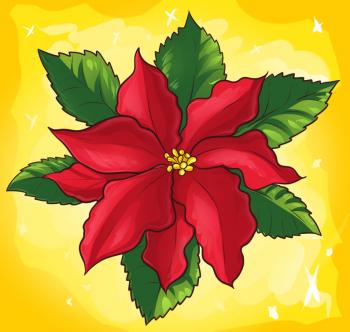 Draw Christmas Flower See Pe Pawo