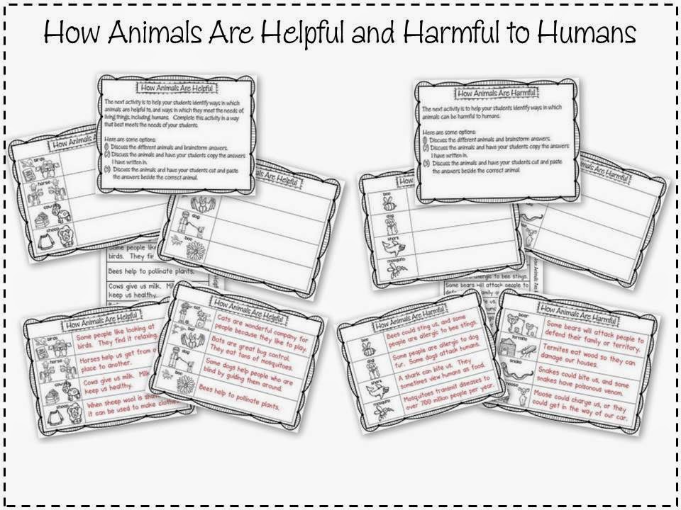 http://www.teacherspayteachers.com/Product/Growth-and-Changes-in-Animals-A-Primary-Science-Unit-1343663