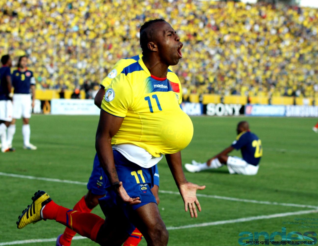 Cristian Benitez In Field Hd Wallpaper – Fond décran Cristian Benitez In Field Hd Wallpaper – Fond décran