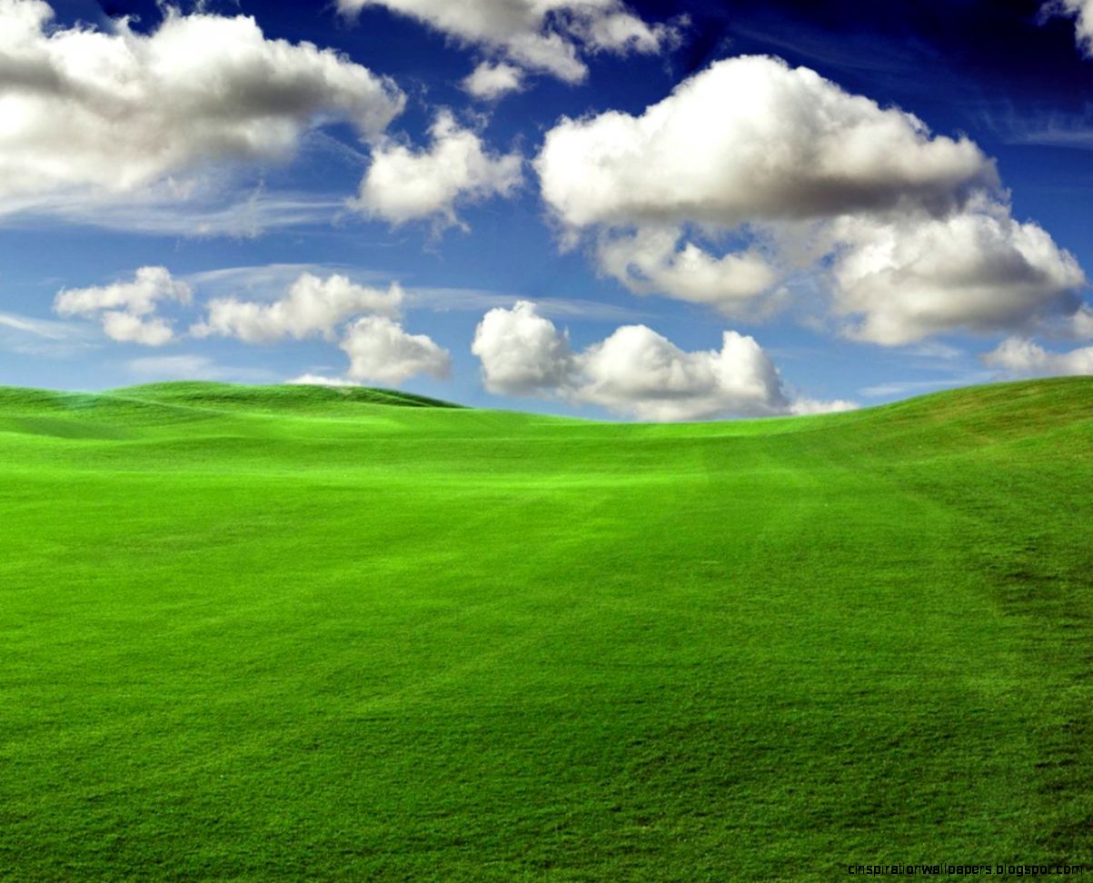 Green images Green Fields HD wallpaper and background photos Green images Green Fields HD wallpaper and background photos