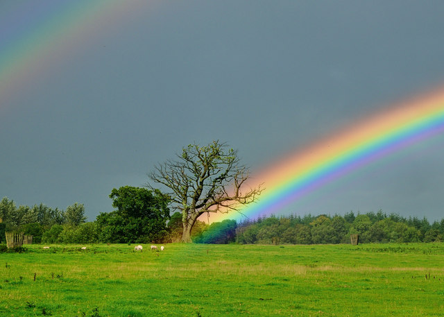 10 Examples Of Narrative Text In The Legend With Generic Structure Analysis Understanding Text