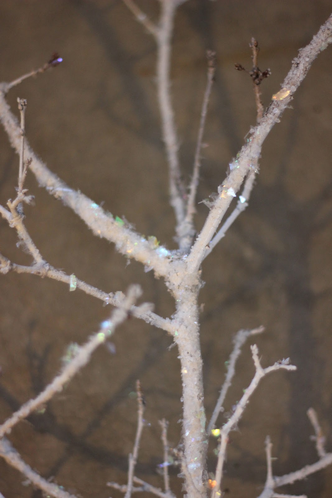 branch twig branch twig