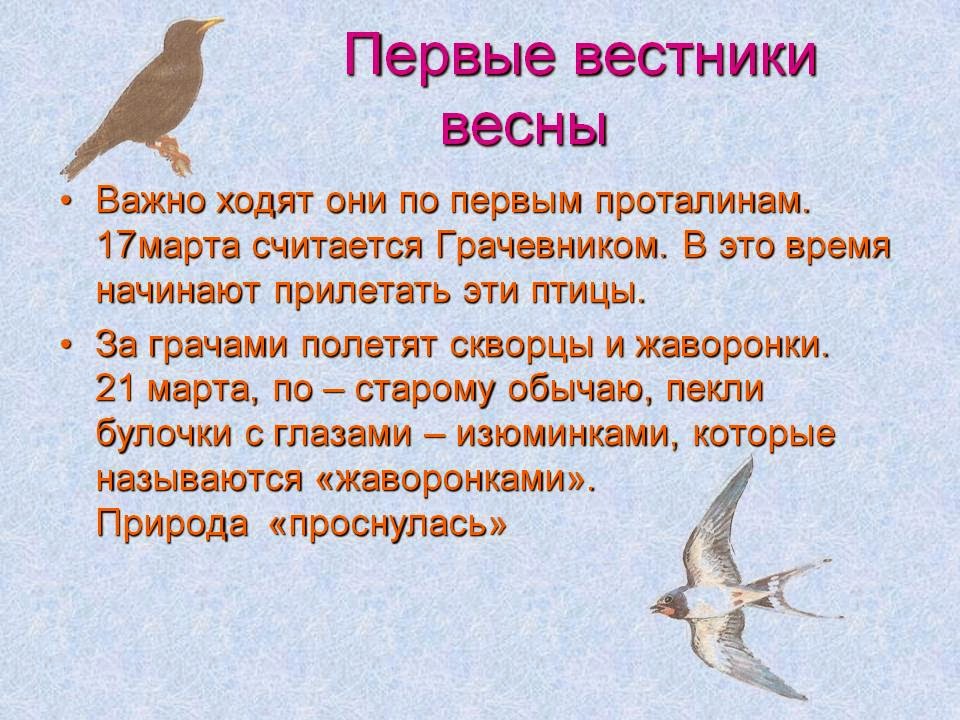 0008 008 Pervye vestniki vesny