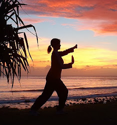 CASES DE TAI- CHI Y CHI  KUNG