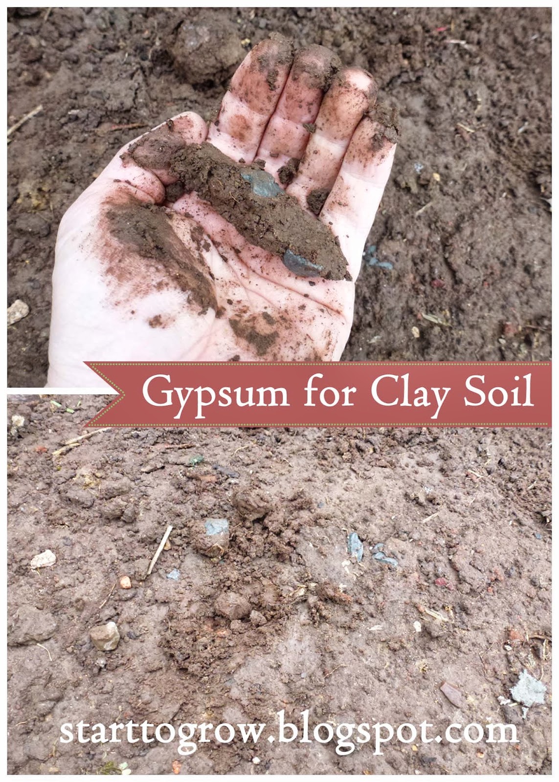 Start To Grow September 2013