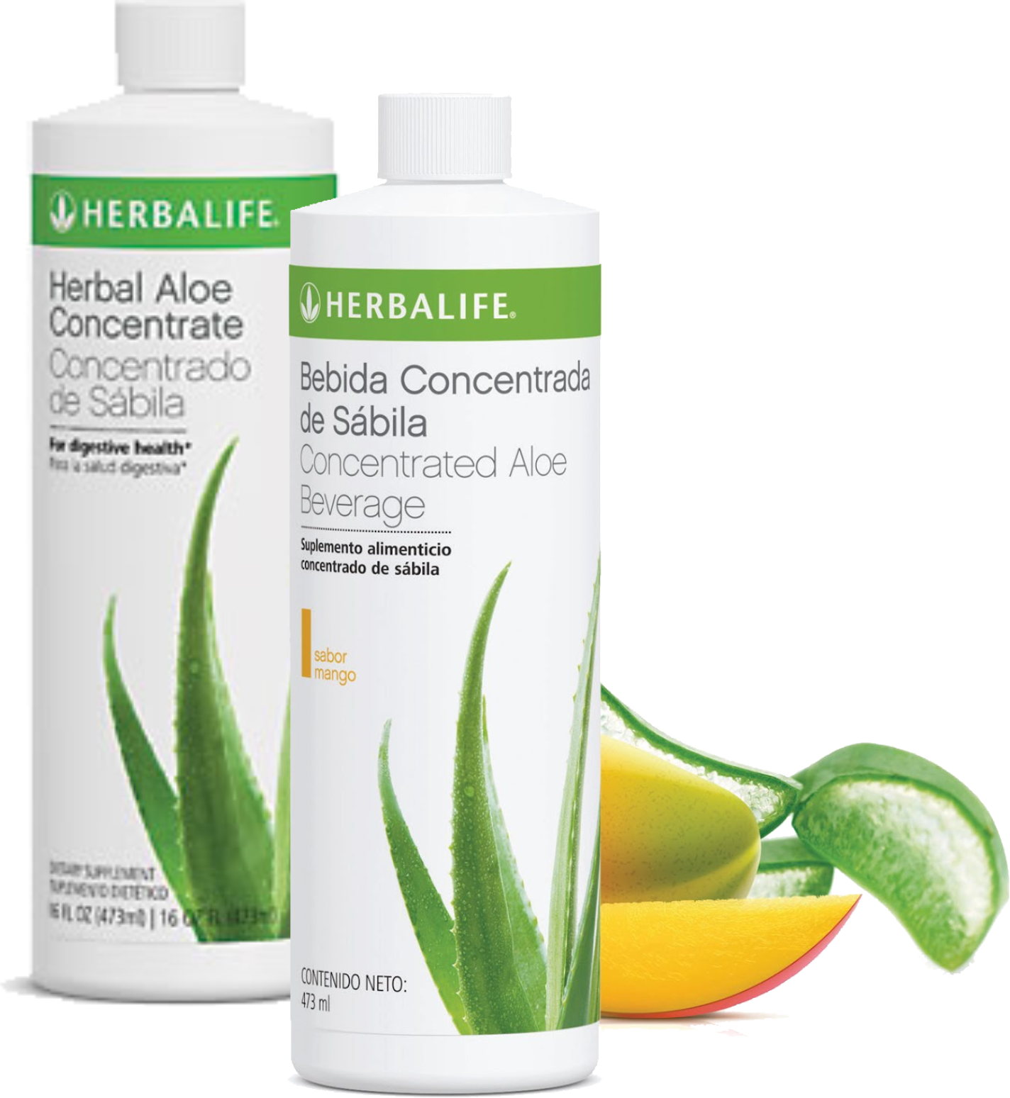 herbalife estilo de vida herbal aloe herbalife estilo de vida herbal aloe