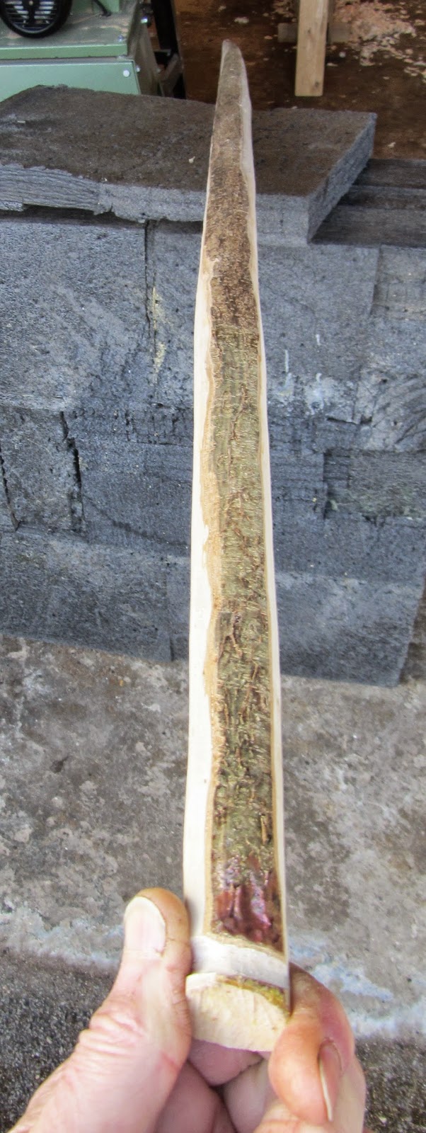 Tall Skinny Blonde on Horse