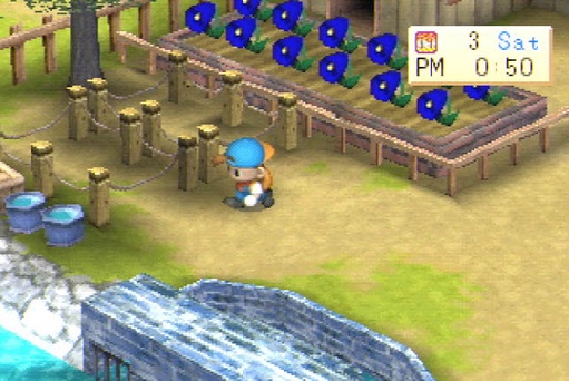 Free Download Harvest Moon A Wonderful Life For Pcsx2