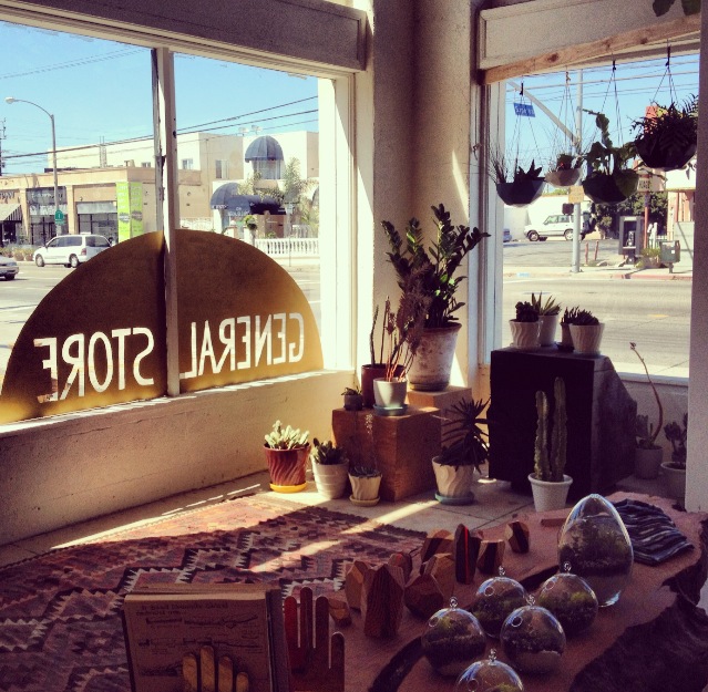 bonfirebeachkids General Store, Venice