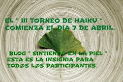 III torneo de haiku