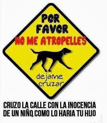 NO ME ATROPELLES .....