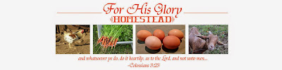 For His Glory Homestead