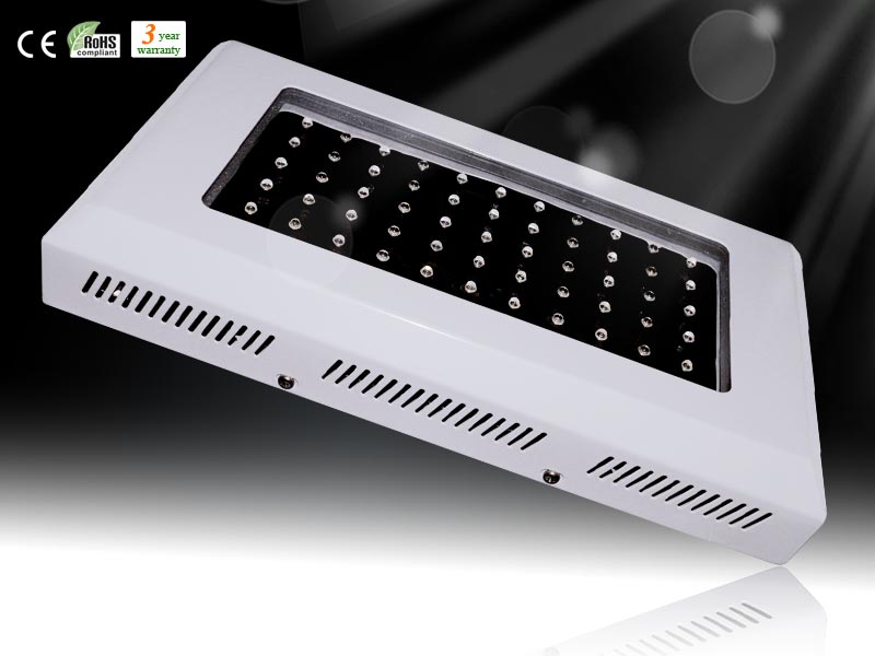Hydroponicslights Do LEDs Lose Light Intensity with Time?What do you think about