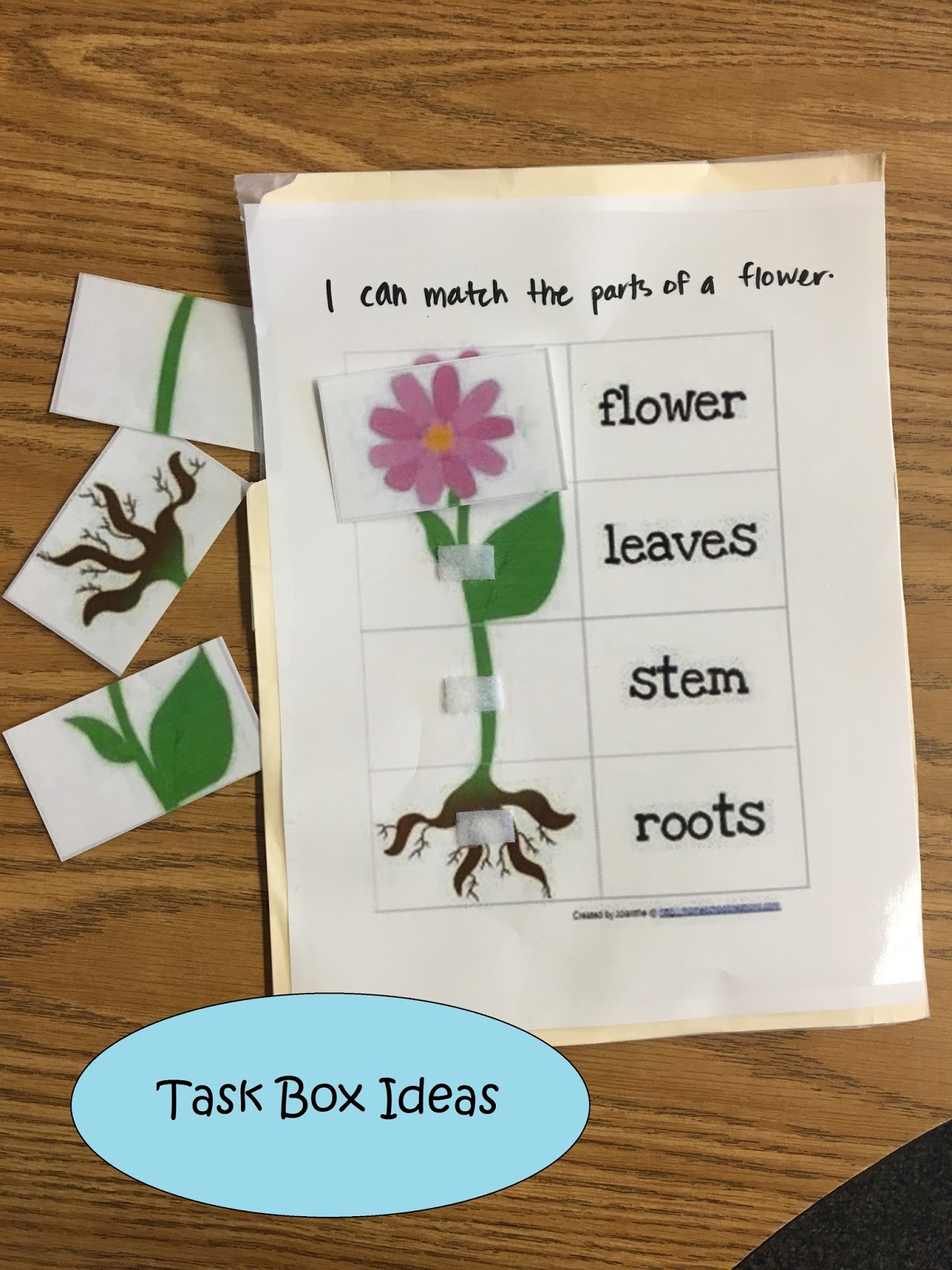 Little Miss Kim's Class Quick and easy task box ideas!