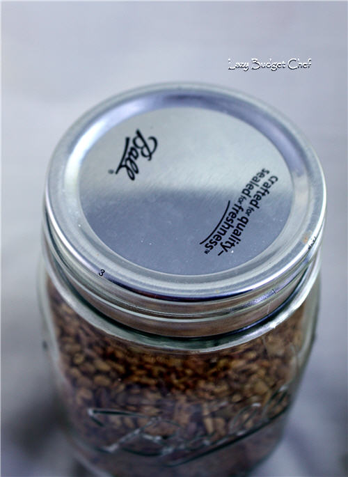 Lazy Budget Chef DIY Mason Jar Vacuum Sealer