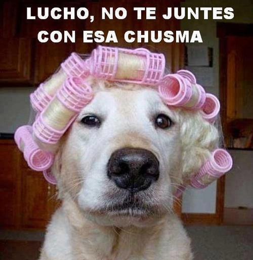 Imagenes graciosas Facebook