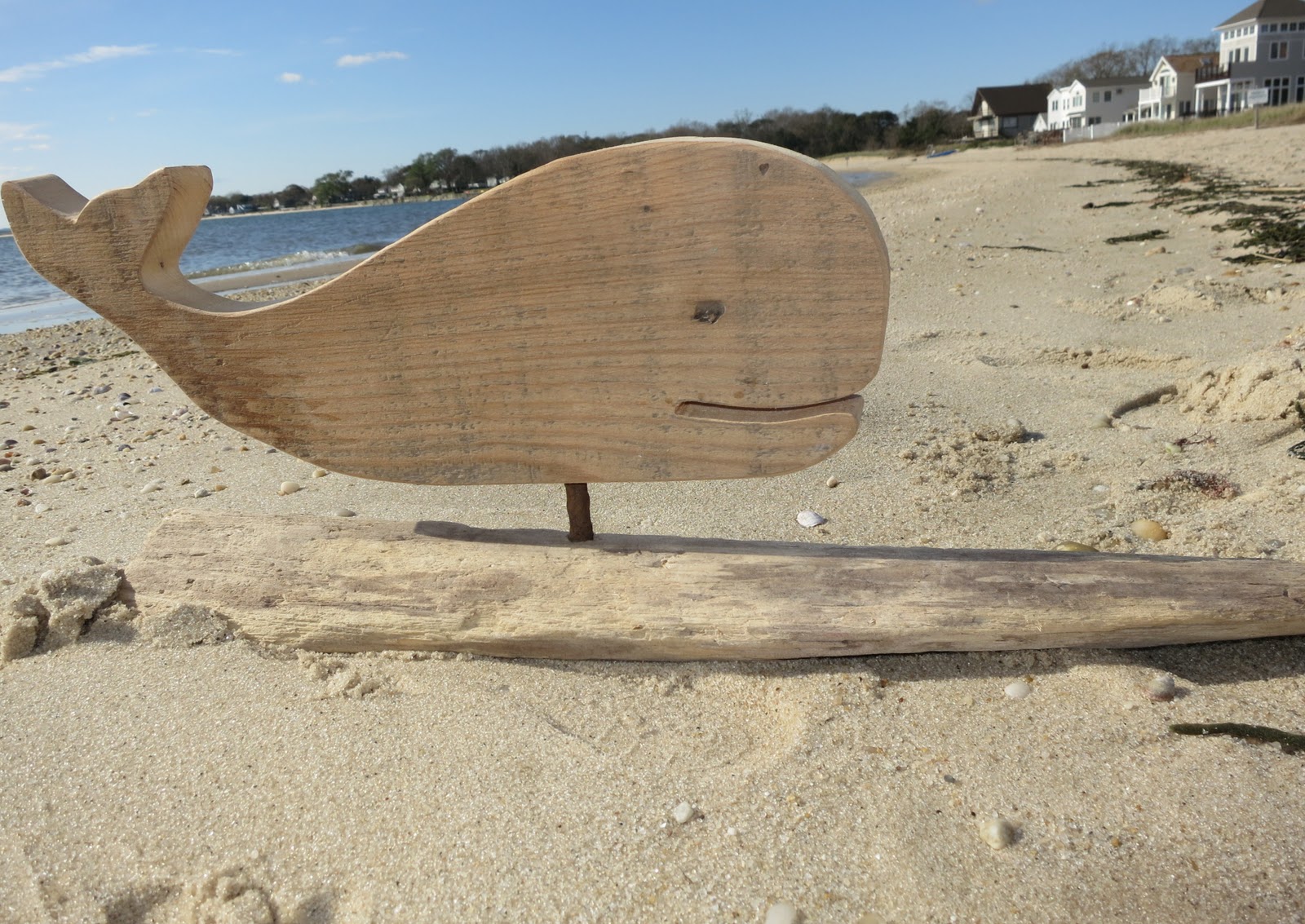 Small Holdings Farm Long Island Whale Watching