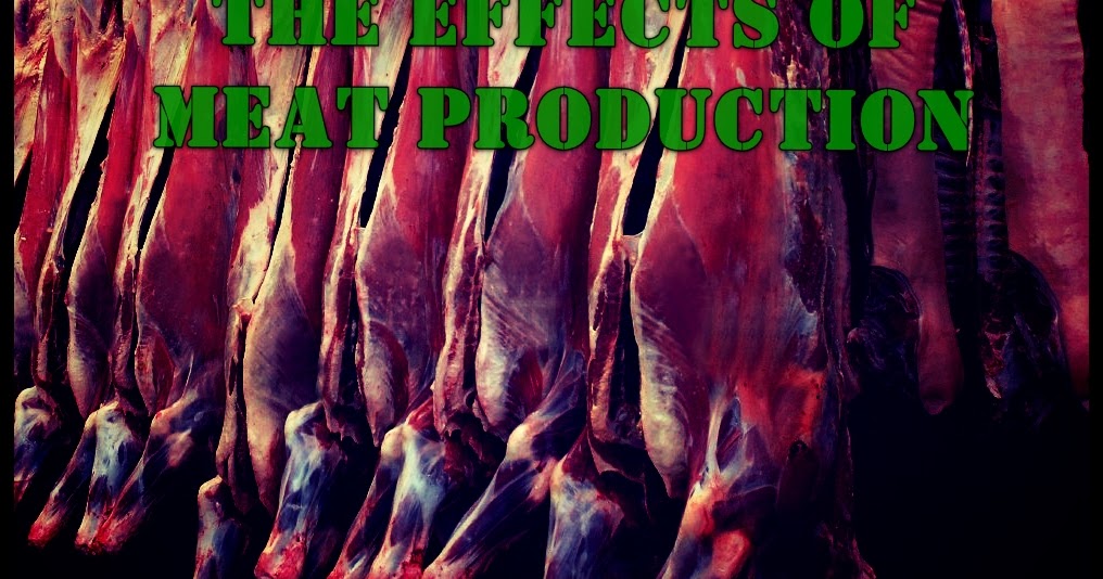 Runic Rigel The Effects of Meat Production on the Environment