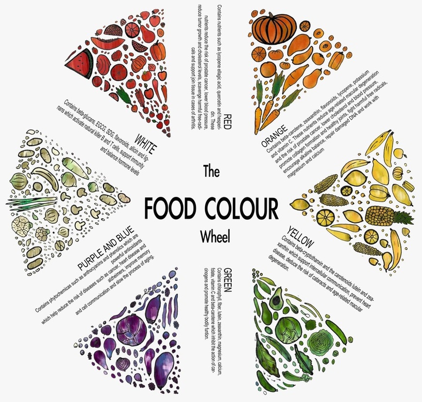 SOFT MINDS Food Colour Wheel