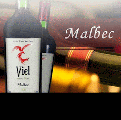 ADEGA VIEL - 3323 0580