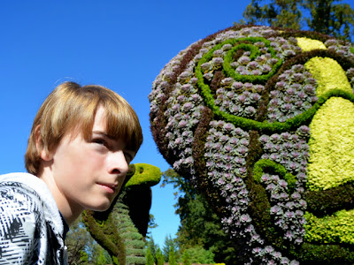 Zach, Cobras, Imaginary Worlds, Atlanta Botanical Garden