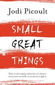 Small  Great Things, an incredible and thought provoking novel by Jodi Picoulr