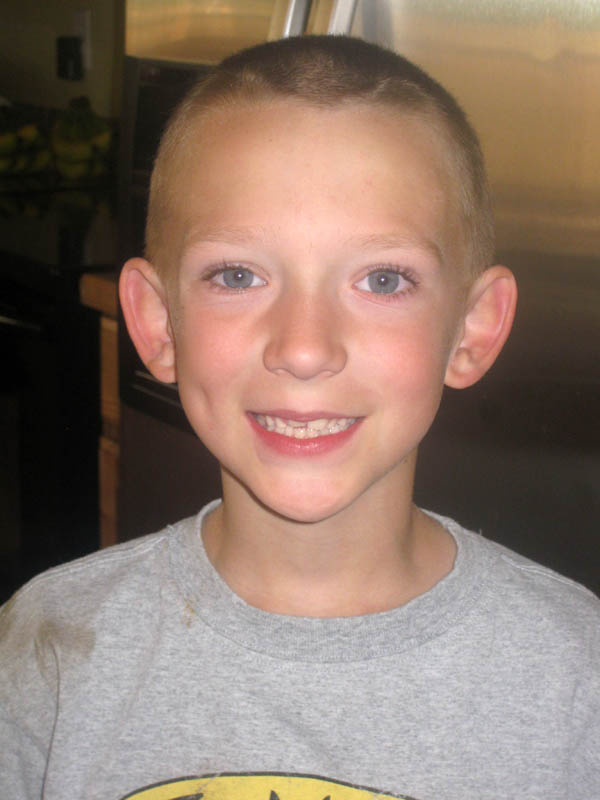 the bartle bulletin Summer buzz