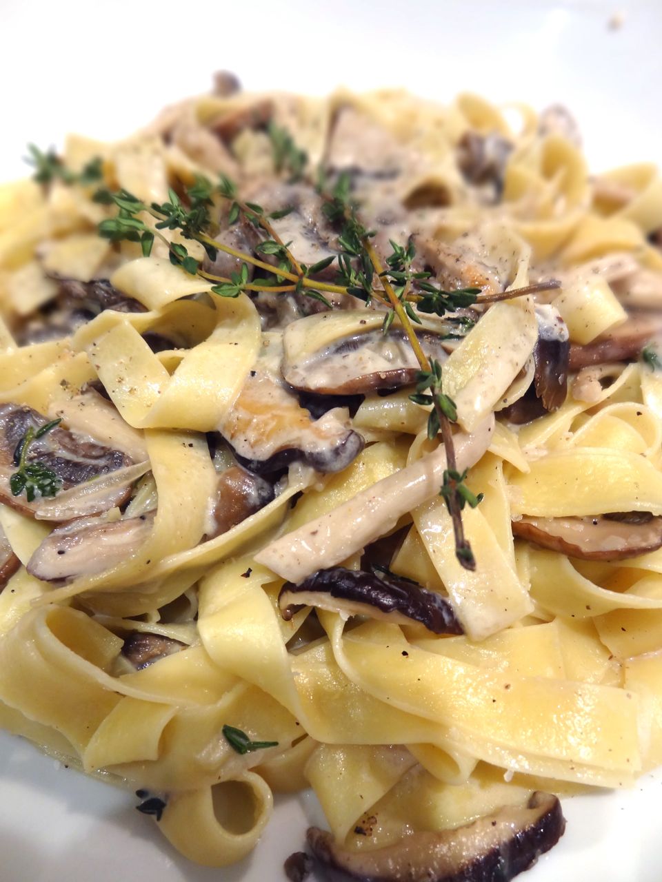 Scrumpdillyicious Tagliatelle with Wild Mushroom & Brandy Cream Sauce