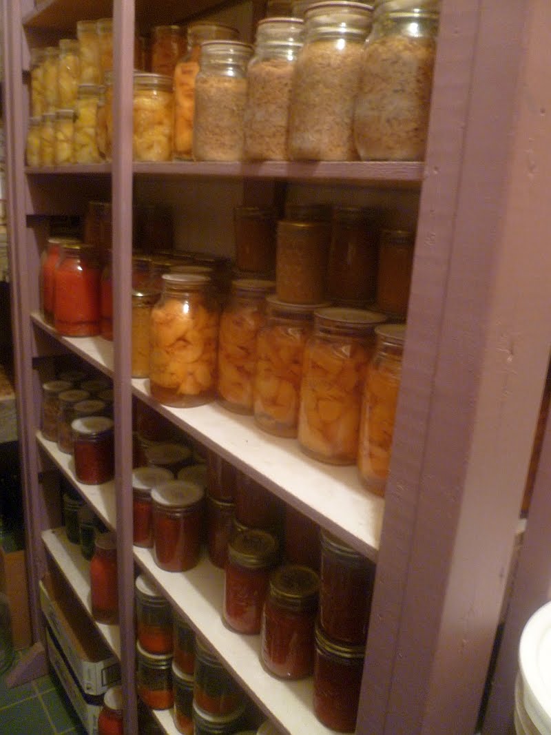 Rural Revolution Canning closet upgrade