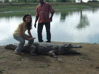 Paga Crocodile Pond In Ghana, Alligator, Crocodile Photos, Amazing Facts, Shocking News
