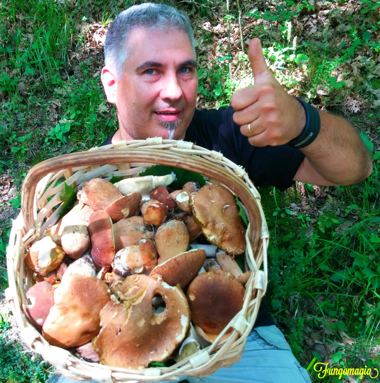 Boletus Aestivalis......