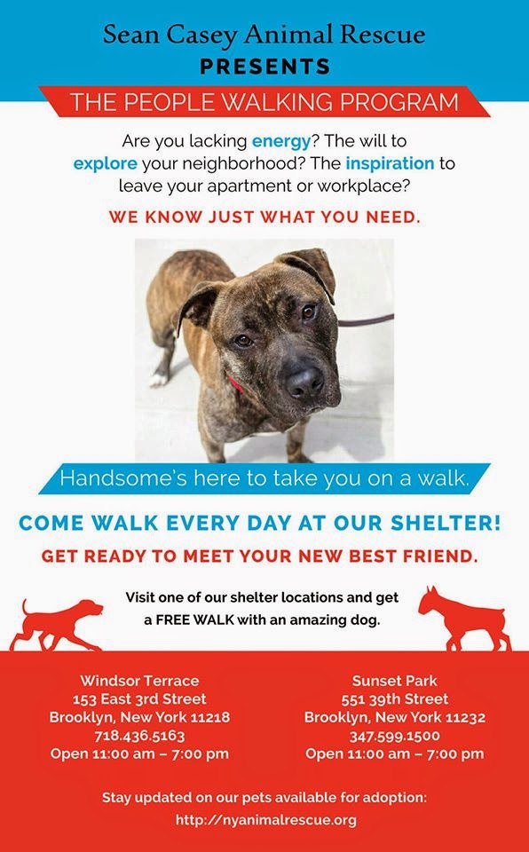 karmabrooklyn blog get walked by a shelter dog sean caseys dogs dog walking flyers for apartment