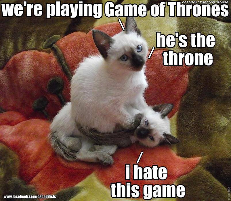 Amazing Creatures 30 Funny animal captions part 13 (30 pics)