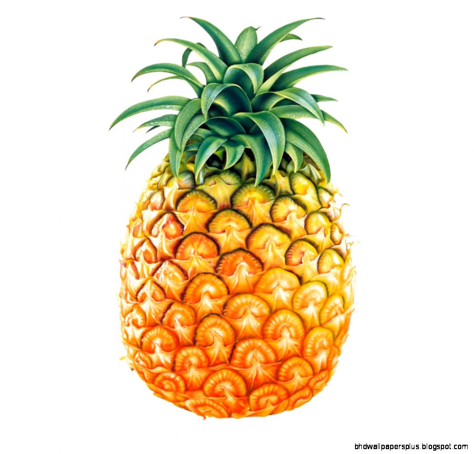 Pineapple Wallpaper Hd Clipart Panda Free Clipart Images Pineapple Wallpaper Hd Clipart Panda Free Clipart Images